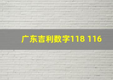 广东吉利数字118 116